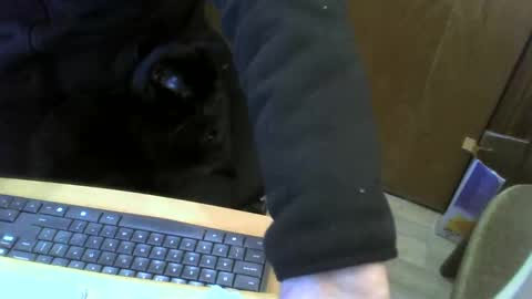 muller520 online show from 01/22/25, 04:02