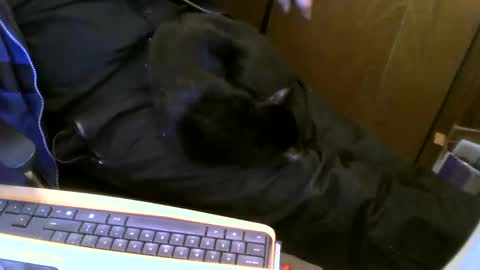 muller520 online show from 02/13/25, 06:48