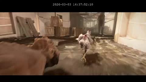 Snapshot of multitest101 chatting on 03/03/26, 10:37 multitest101 online show from 03/03/26, 10:37