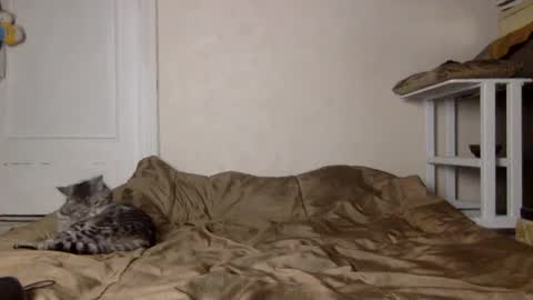 Snapshot of muse_online chatting on 12/04/24, 11:41 Muse Ali  online show from 12/04/24, 11:41