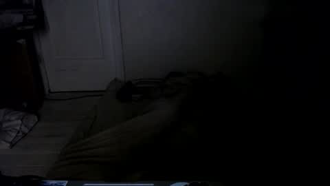 Snapshot of muse_online chatting on 12/17/24, 04:23 Muse Ali  online show from 12/17/24, 04:23