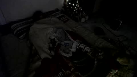 Snapshot of muse_online chatting on 12/23/24, 08:00 Muse Ali  online show from 12/23/24, 08:00