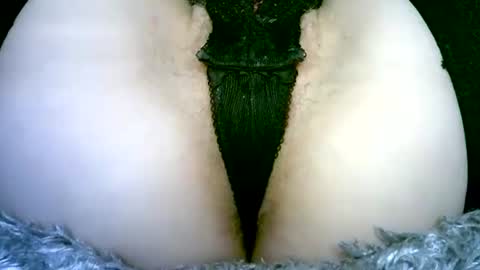 my_tightholes online show from 02/02/26, 06:50