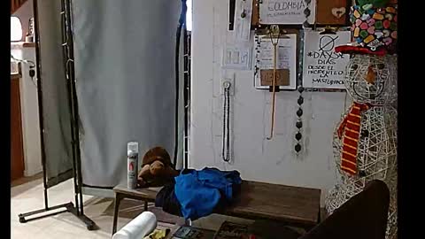 Snapshot of mycock4u247 chatting on 12/25/24, 10:50 LA MARIPOSA DE MARICOPA online show from 12/25/24, 10:50