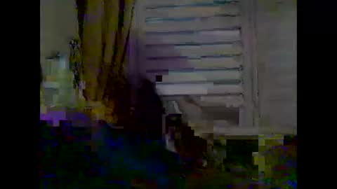 mycockissohard2021 online show from 05/02/26, 03:55