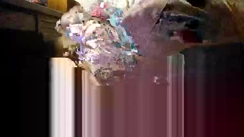 Mmmm Feels Great online show from 12/04/25, 11:19