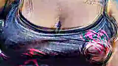 Snapshot of myhoney_hot chatting on 02/21/26, 12:28 myhoney_hot online show from 02/21/26, 12:28