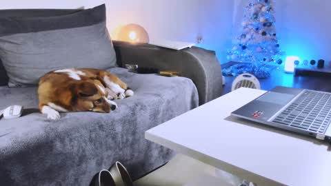 Anda online show from 12/27/24, 10:48