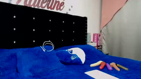 Snapshot of myrandafliiers chatting on 11/26/25, 01:39 myranda online show from 11/26/25, 01:39