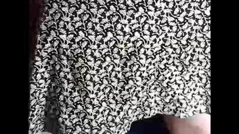 Snapshot of myself765 chatting on 02/18/25, 07:09 Sissy Mike online show from 02/18/25, 07:09