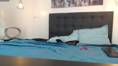 No Name online show from 01/05/25, 01:26