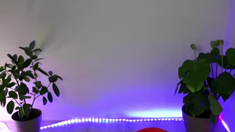  Eve  online show from 10/11/25, 10:30