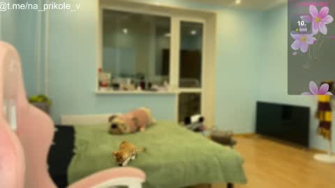 Snapshot of na_prikole_ chatting on 10/24/25, 05:20 Vanessa and Julia  online show from 10/24/25, 05:20