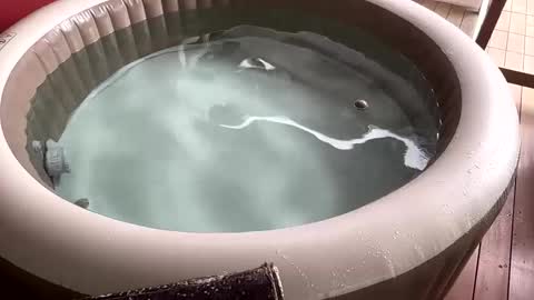 Sexyhotpapa online show from 12/02/24, 11:12