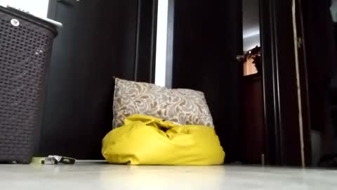 Snapshot of nak3d_lif3 chatting on 03/23/26, 01:37 nak3d_lif3 online show from 03/23/26, 01:37