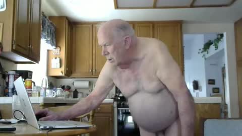 Snapshot of naked_male_slave chatting on 12/22/24, 09:31 Roger online show from 12/22/24, 09:31