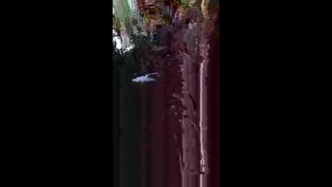 nakedbear108 online show from 05/17/26, 07:50