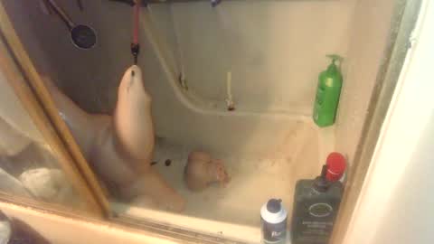 Snapshot of nakednate1780 chatting on 02/06/25, 07:13 nakednate1780 online show from 02/06/25, 07:13