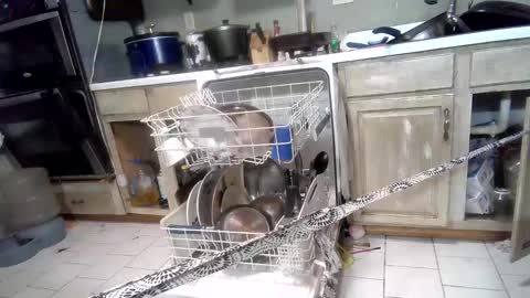 Snapshot of nakednate1780 chatting on 03/03/25, 07:32 nakednate1780 online show from 03/03/25, 07:32