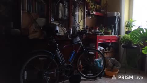 Snapshot of nakednudist72 chatting on 02/13/26, 10:44 Naked Naturist online show from 02/13/26, 10:44