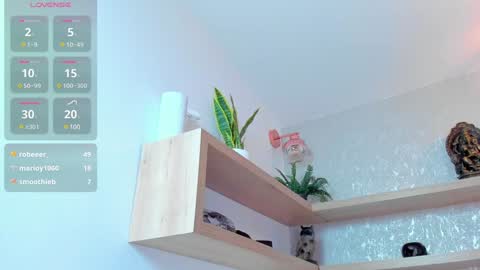   online show from 12/21/24, 12:20