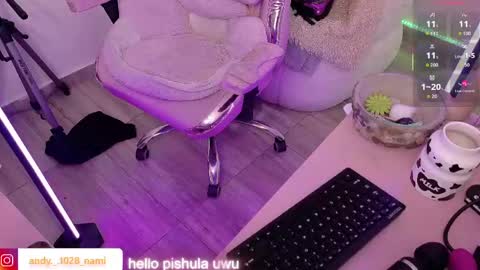 nami_usagi online show from 04/29/26, 05:30