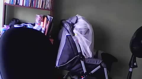 nana_666_ online show from 11/17/25, 09:20