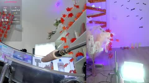 INSTAGRAM     bekkercat  online show from 11/02/25, 11:12