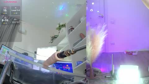 INSTAGRAM     bekkercat  online show from 11/17/25, 11:38