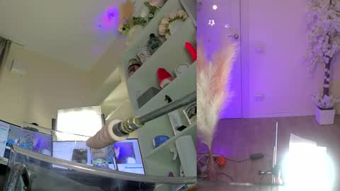 INSTAGRAM     bekkercat  online show from 02/03/26, 09:03