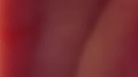 Snapshot of nancy_witch chatting on 12/12/24, 07:52 Nancy and Archi online show from 12/12/24, 07:52