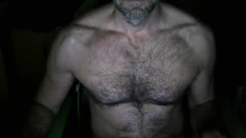 Snapshot of nardo74 chatting on 02/14/26, 11:56 nardo74 online show from 02/14/26, 11:56