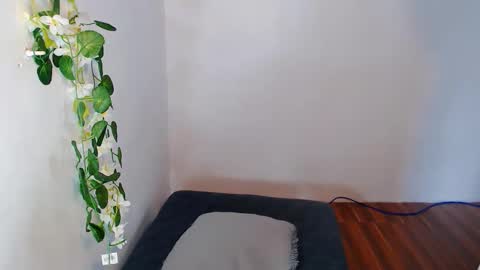 Snapshot of nashdiam chatting on 11/30/25, 07:23 nashdiam online show from 11/30/25, 07:23