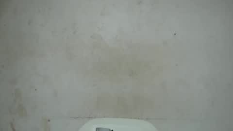 Snapshot of nastyhairy7 chatting on 10/29/25, 04:15 nastyhairy7 online show from 10/29/25, 04:15