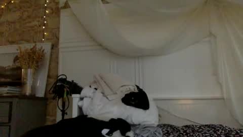 Snapshot of nastyloveparis chatting on 03/12/26, 06:52 nastyloveparis online show from 03/12/26, 06:52