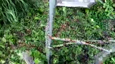 nata1974 online show from 10/18/25, 03:35