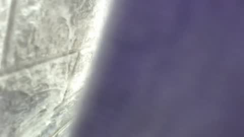 natalieevansx online show from 11/16/25, 03:39