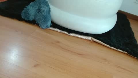 nath_dawson online show from 01/28/25, 12:11