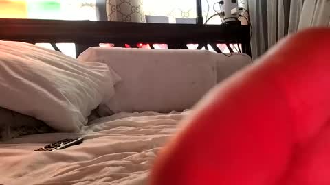 Snapshot of nativeboi22 chatting on 02/03/25, 05:03 Haven online show from 02/03/25, 05:03