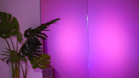 Snapshot of natydesiree chatting on 02/26/25, 08:04 Naty online show from 02/26/25, 08:04