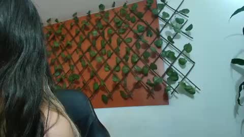 Kitten online show from 04/15/26, 11:28