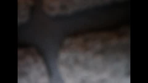 Snapshot of naughtypanties123 chatting on 03/11/26, 06:08 naughtypanties123 online show from 03/11/26, 06:08