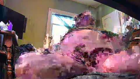 Snapshot of ndcowpoke chatting on 02/08/25, 09:46 ND Cowpoke online show from 02/08/25, 09:46