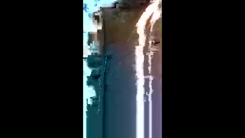 neamtu online show from 05/24/26, 12:21