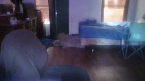 ned is naughty online show from 06/24/26, 12:31