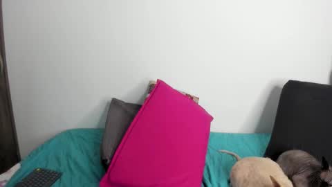 Nei turn green online show from 09/22/25, 01:29