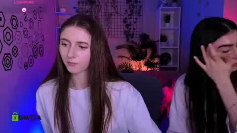 Meow online show from 06/11/26, 12:03