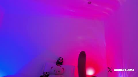 Snapshot of nelav0 chatting on 12/14/25, 10:25 xd online show from 12/14/25, 10:25