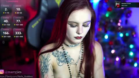 Snapshot of nelle_ chatting on 12/30/24, 01:14    online show from 12/30/24, 01:14