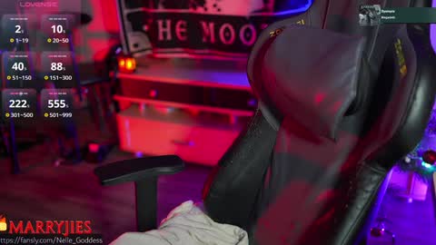 Snapshot of nelle_ chatting on 01/03/25, 01:14    online show from 01/03/25, 01:14